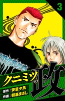 クニミツの政 愛蔵版 3