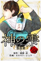 マリアージュ ～神の雫 最終章～　愛蔵版　22