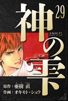 神の雫 愛蔵版 29