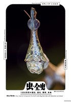 虫・全史　1000京匹の誕生、進化、繁栄、未来