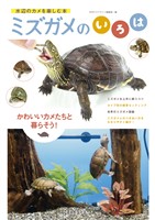 ミズガメのいろは