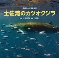 中西和夫の写真絵本土佐湾のカツオクジラ