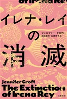 イレナ・レイの消滅