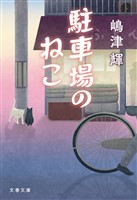 駐車場のねこ