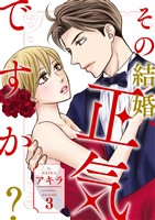 その結婚、正気ですか？【描き下ろしおまけ付き特装版】 3
