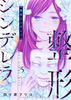 整形シンデレラ 5