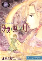 《Pシリーズ16》 砂漠を照らす月