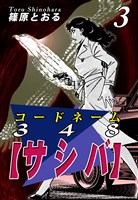コードネーム348【サシバ】(3)