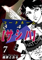 コードネーム348【サシバ】(7)