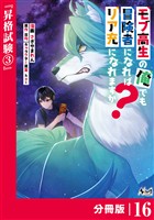 モブ高生の俺でも冒険者になればリア充になれますか？【分冊版】（ノヴァコミックス）１６