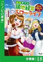 最強ギフトで領地経営スローライフ~辺境の村を開拓していたら英雄級の人材がわんさかやってきた!~【分冊版】(ノヴァコミックス)18
