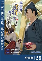 異世界で『賢者……の石』と呼ばれています【分冊版】（ポルカコミックス）２９