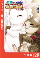 我輩は猫魔導師である～キジトラ・ルークの快適チート猫生活～【分冊版】（ポルカコミックス）２８