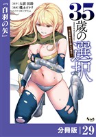 ３５歳の選択～異世界転生を選んだ場合～ 【分冊版】（ノヴァコミックス）２９
