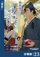 異世界で『賢者……の石』と呼ばれています【分冊版】（ポルカコミックス）２３