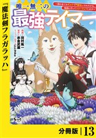 唯一無二の最強テイマー~国の全てのギルドで門前払いされたから、他国に行ってスローライフします~【分冊版】(ノヴァコミックス)13