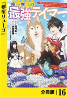 唯一無二の最強テイマー~国の全てのギルドで門前払いされたから、他国に行ってスローライフします~【分冊版】(ノヴァコミックス)16