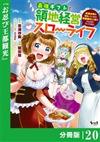最強ギフトで領地経営スローライフ~辺境の村を開拓していたら英雄級の人材がわんさかやってきた!~【分冊版】(ノヴァコミックス)20