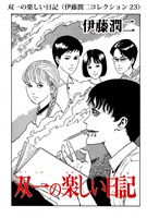 双一の楽しい日記（伊藤潤二コレクション 23）