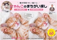 にゃんこのまちがい探し ネコねんね＆うまそうだニャ