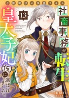 万能魔法の事務スキル～社畜事務が転生したら皇太子妃（仮）に選ばれました。(13)
