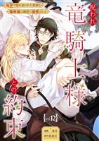 呪われ竜騎士様との約束~冤罪で国を追われた孤独な魔術師は隣国で溺愛される~【分冊版】 12話