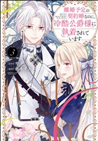 離婚予定の契約婚なのに、冷酷公爵様に執着されています【かきおろし漫画付】　（3）