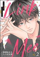 Link Mee ～この恋は、フィクション～　（2）