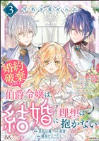 汚名を着せられ婚約破棄された伯爵令嬢は、結婚に理想は抱かない コミック版　（3）