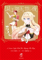 国王陛下と甘い夜【電子限定特典付き】 (3)