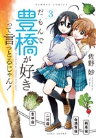 だもんで豊橋が好きって言っとるじゃん！ (3)