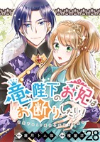 竜陛下のお妃はお断りしたい！　ストーリアダッシュ連載版　第28話
