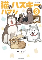 猫とハスキーとハマジ【電子特典付き】 (3)