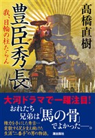 豊臣秀長　我、日輪の柱たらん