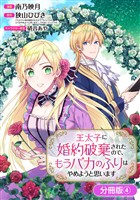 【期間限定　無料お試し版】王太子に婚約破棄されたので、もうバカのふりはやめようと思います【分冊版】 4巻