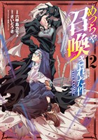 めっちゃ召喚された件 THE COMIC 12巻