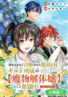 巻き込まれて召喚された限界OL、ギルド所属の【魔物解体嬢】として奮闘中　THE COMIC【分冊版】 3巻