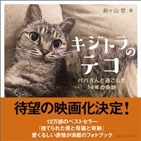 キジトラのテコ パパさんと過ごした14年の奇跡