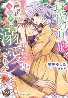 身代わり姫は隣国の勇猛王に溺愛される　3