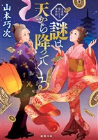 謎は天から降ってくる　大奥様陽だまり事件帖