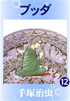 ブッダ(カラー版) 12巻