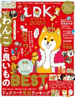 晋遊舎ムック ワンDKデラックス2025