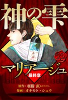 マリアージュ ～神の雫 最終章～ 22（ハーパーコリンズ・ジャパン×アルト出版）