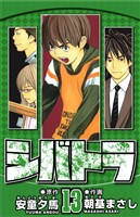 シバトラ 13（ハーパーコリンズ・ジャパン×アルト出版）