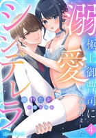 『溺愛シンデレラ 極上御曹司に見初められました 【分冊版】4話』の電子書籍