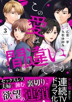 この愛は間違いですか～不倫の贖罪【電子限定単行本】3