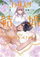 ファリスの結婚【単行本版】 3巻