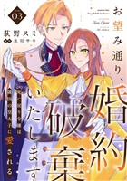 お望み通り、婚約破棄いたします～死に戻り令嬢は隣国の皇太子に愛される～ 3巻
