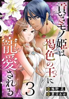 貢ぎモノ姫は褐色の王に寵愛される 3巻