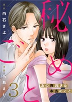 秘めごと～あの夜起きた本当のこと～ 3巻